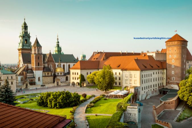 Polonya’da Üniversite Eğitimi